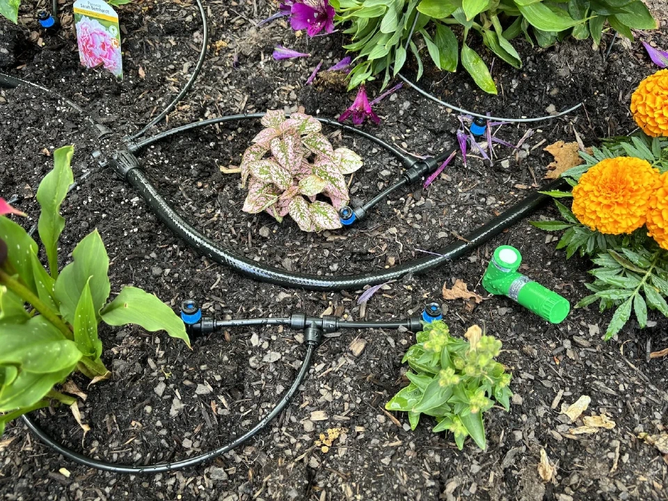 Automated Plant Watering